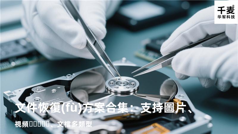 文件恢復(fù)方案合集：支持圖片、視頻、文檔多類型 
